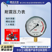 富阳华仪耐震压力表耐震压力表Y60/Y100.1.6、2.5MPa