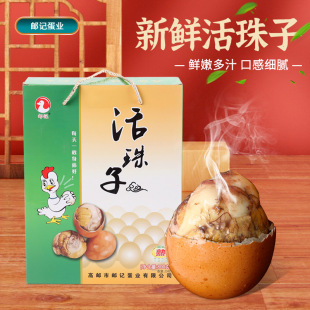 ������20ö���r�u�������u�����u���������u�ߵ��S�����l