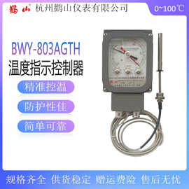 BWY(WTYK)-803AGTH油面温度计/电力变压器专用温度控制器0-100℃