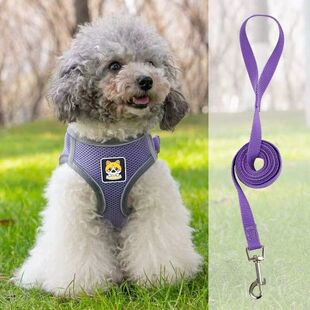 Cat Non-Reflective Traction Rope to Prevent Breaking Out Special Rope Cat Chain Chest Strap for Small Pet