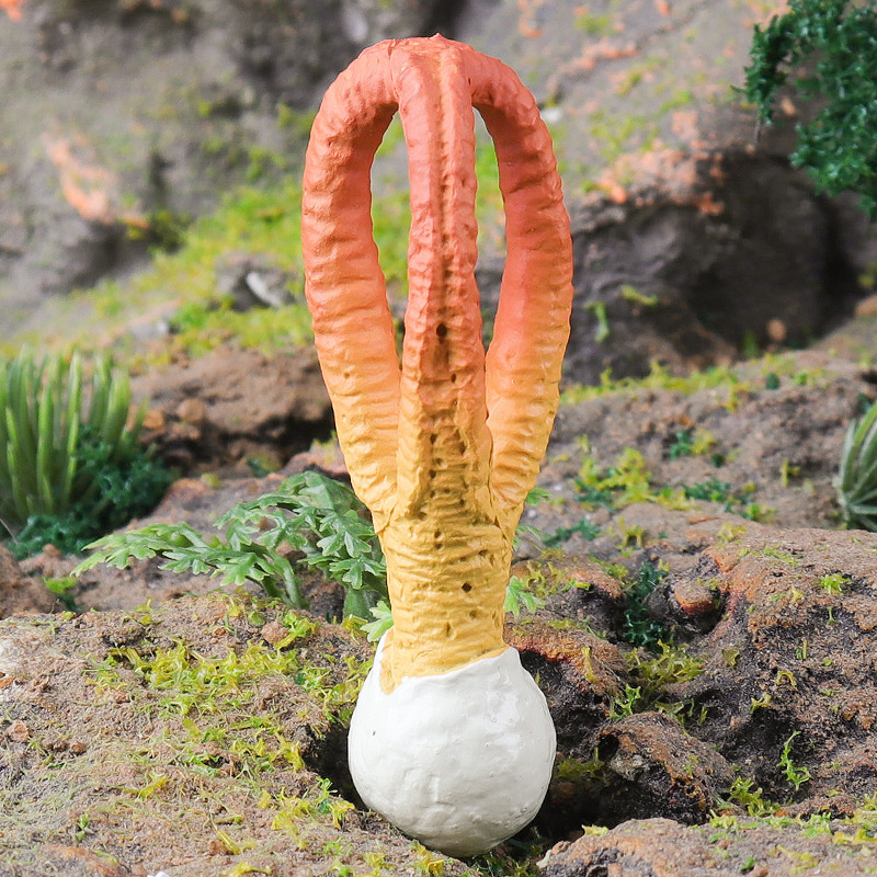 Cross-Border Children's Educational Science Simulation Plant Model, Buddha's Hand Fungus Display Piece, Creative Toy for Photography and Pretend Play Decoration Cross-Border Children's Educational Science Simulation Plant Model, Buddha's Hand Fungus Display Piece, Creative Toy for Photography and Pretend Play Decoration