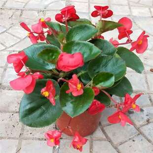 �ļ����Ļ������ļ��_����������������լ��ͥԺ�҃��׻������