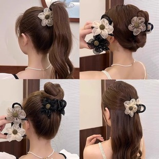 �����^�W������ץ�AŮ2026�¿�߼��и��Rβ�����l�l�A���X���^�