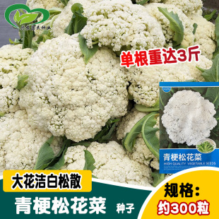 �A���๣�ɻ��˷N�� ���w�ɻ����׻�Ҭ���� �ˈ@�r�Ҵ���ˈ@�߲�