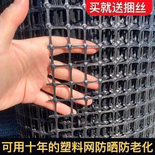 Thickened Chicken and Duck Farming Net Plastic Fence Net Protective Net Corn Net Orchard Enclosure Isolation Grid Breeding Net