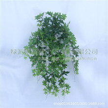 �������Ȼ��ڒ� ��ɽ�����m���bG�~�ٗl�ٵع��~�G�}�ڒ�