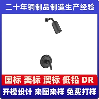 加工定制美规轻奢家用美式简易暗装入墙式分体冷热淋浴花洒水龙头