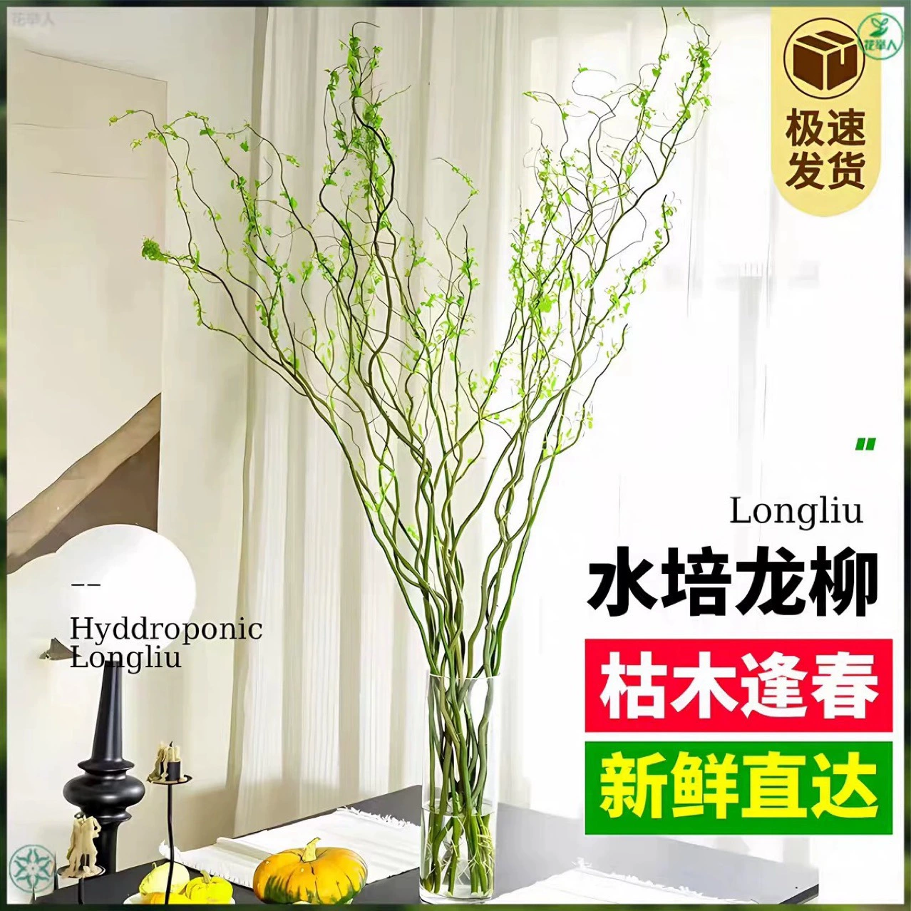 Свежая ветка драконьей ивы Цветочная композиция для гостиной Напольный гидропонный настольный растение Легко обслуживаемое лиственное гидропонное зеленое растение Ленивое зеленое растение.