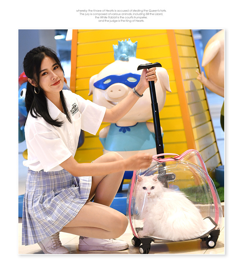 Title 12, Pet Trolley Case Dog Travel Transport Bag Trans...