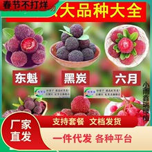 һ�����l���ڗ�÷����|����̿��޽����Ϸ�����ͥԺ�Nֲ�����玧