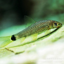 һ���ھ�С���w���^�p�~�Ꭷ�~���w����ݸ׳�̦С���`�~�������l