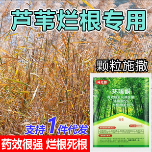 �h�ͪ���JȔ�ݠ��������w�����hຆL���s�����ӹ�ľ���ó��ݠ���