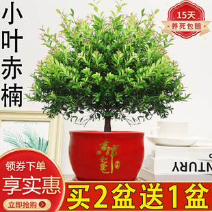 С�~����Ϙ��������ԾGֲ�����҃ȿ͏d���B�ļ��������^�����՚�