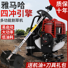 RݙCě_̱ؓʽ๦͙C_ոCC