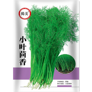 ����С�~����N�� ��β��ո�������� С�����߲˷N��1000���b