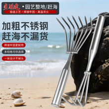 精抛不锈钢淬火园艺赶海耙松土楼草耙全新升级精品硬度高耐用赶海