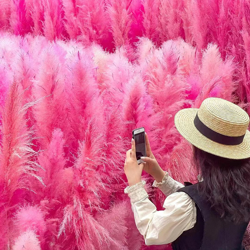 O1CN01YF1ena2MWwhSXWuI3_!!2218689629836-0-cib.jpg?__r__=1728445416307