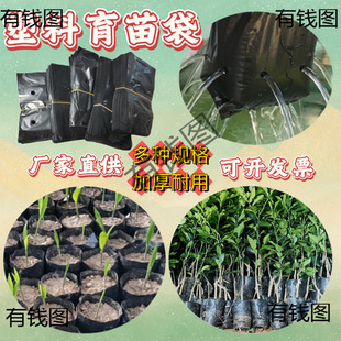 С̖�����������癉�ƠI�B����ɫ�Ӻ�Nʯ��ֲ�����Ș���I�B��