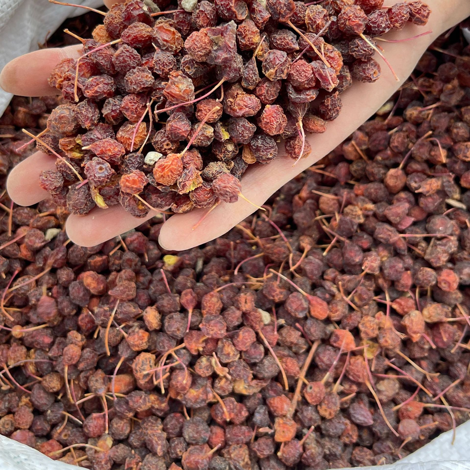 Wild Hawthorn Small Granules 500g Shan Zha Dried Fruit for Tea Wine and Snacking in use