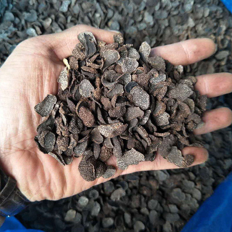 云南黑松露干片块菌野生大全猪拱菌大颗粒调味粉香味干货散装批发|undefined