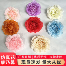 ����ǧ�ӿ���ܰ���^ ֱ��12cm�ٻ����Ldiy �^������Y�û�ˇ��