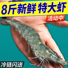 青蝦青島大蝦整箱海鮮鮮活速凍特大冷凍基圍蝦鮮蝦海蝦對蝦亞馬遜