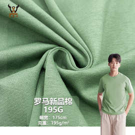 罗马新品棉195G  锦涤弹力针织面料  T恤服装裤料连衣裙校服布料