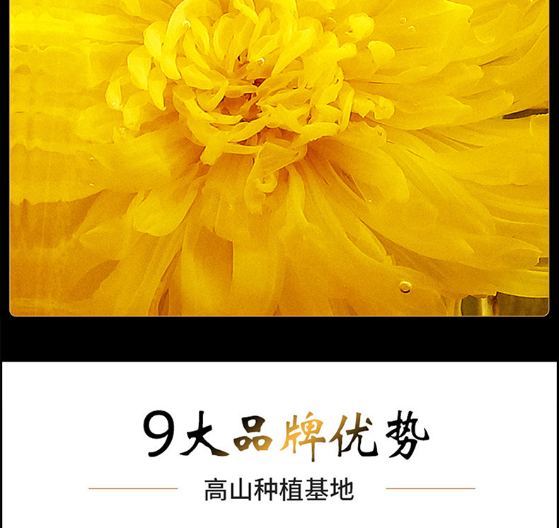 Golden Silk Imperial Chrysanthemum Flower Tea Dried Yellow Chrysanthemum Blossoms 20g Yunnan Herbal Tea in use