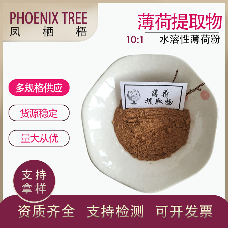 厂家现货 食品级喷雾干燥薄荷叶粉 水溶薄荷萃取粉10:1薄荷提取物