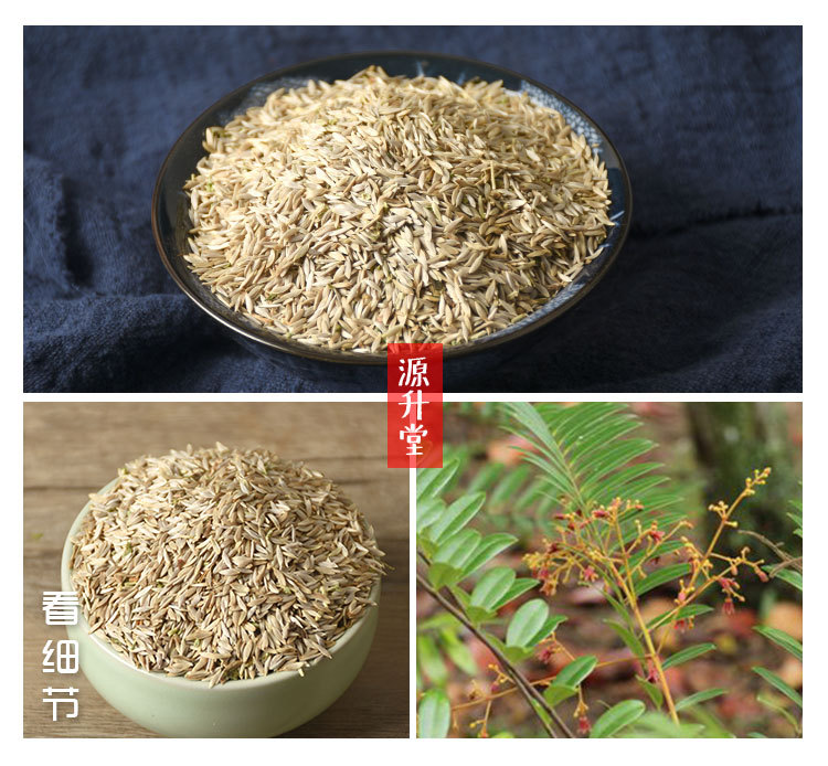 Bai Ju Sheng Seeds (Lactuca sativa) — Dried Food-Herb Lettuce Seeds for Tea & Soup overview