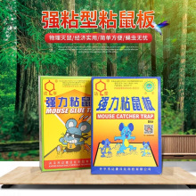 �S�ҿ羳؛Դ�_����������������N�S���p϶ճ��̖����ճ���