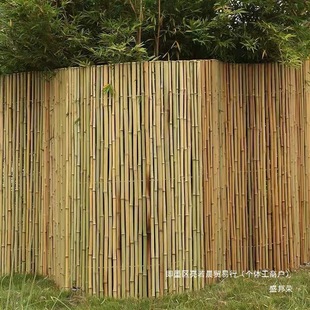 �S��ֱ�N���������ř���U��h�ʇ�����������ͥԺ�������L