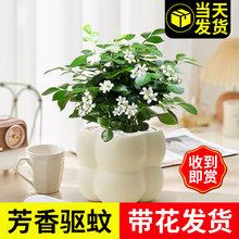 �����������ذ��荘����Ϙ�����ò�ֲ���҃ȝ�����ֲ����B����