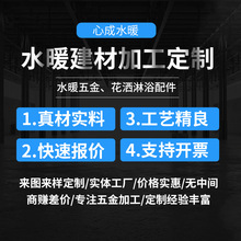 加工定制水暖五金配件来图来样ppr堵头家装管件定做多规格厂家