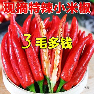 �׆�ֱ�{]С���������r5�ﳯ�콷�ݽ�ָ�콷��������Ƥ���t����