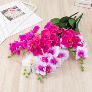 ��ؐ���滨�����m2��3d�^�z�ָ�С֦�����m���Բ廨�Ӽ�ܛ�b�ٻ�