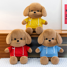 �ɐۿ�ͨ���l��С������ë�q��߿ɐ۹�����ż����ץ�C��������