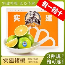 2023云南实建褚橙冰糖橙一级/优级/特级早橙新鲜礼盒水果官方正货