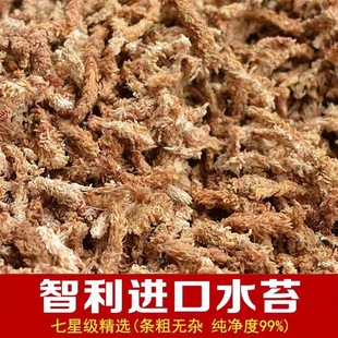 �M������ˮ̦ ��̦�\ ֲ�ϻ��|�I�B�������m��ʳ�x�ݺ����m��