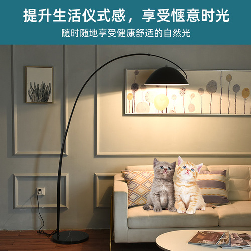 Floor lamp living room sofa next to fishing lamp bedroom study internet celebrity Nordic minimalist light luxury creative vertical floor lamp