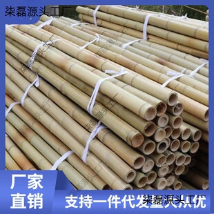 Wholesale Anti-Corrosion Bamboo Poles for Decoration, White and Yellow Thick and Thin Bamboo Poles for Bean and Cucumber Garden Trellis, Bamboo Flagpole