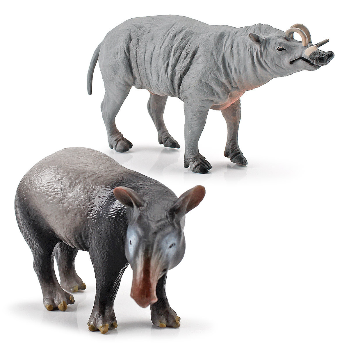 Simulación bosque tropical en peligro de extinción animal Malayo ciervo delfín modelo estático cognitivo decoración juguete transfronterizo Amazonas