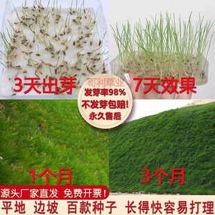 �����o�²�ƺ�N�ӲݷN��߅�¹����G����ϲ�����ݰ�Ľ�������ļ�