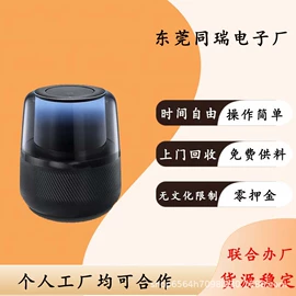 电子组装加工;音像制品加工;其他电子加工