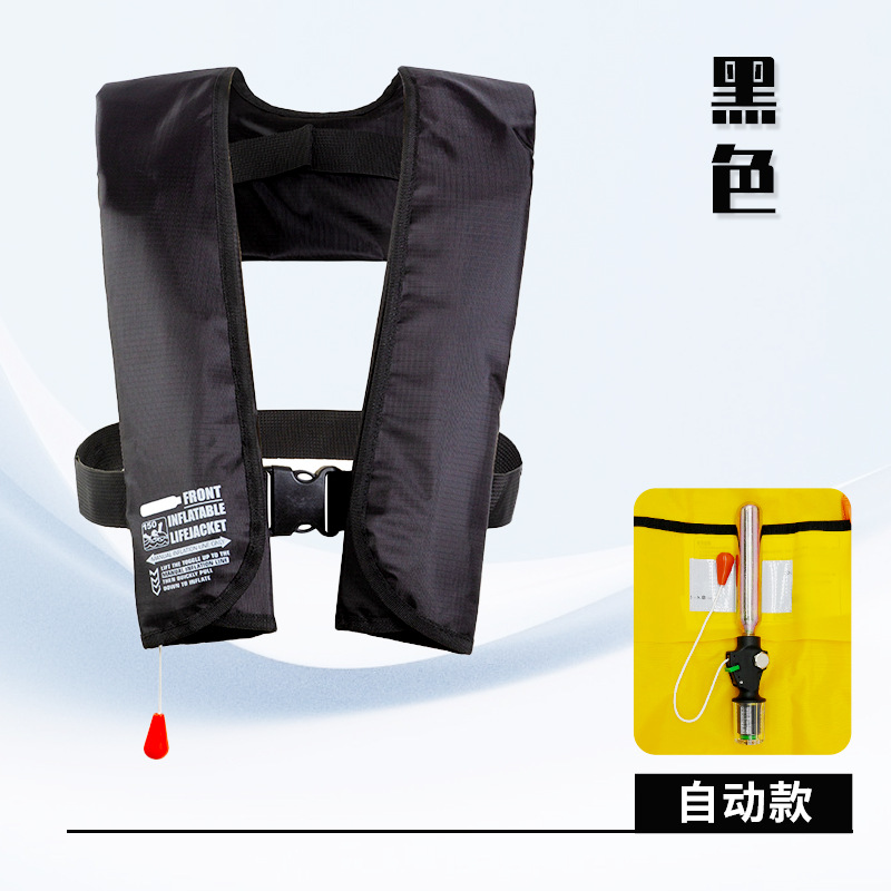 Черно-автоматическая модель