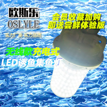 ledʳˮT~ូ~ o~GⷤសT