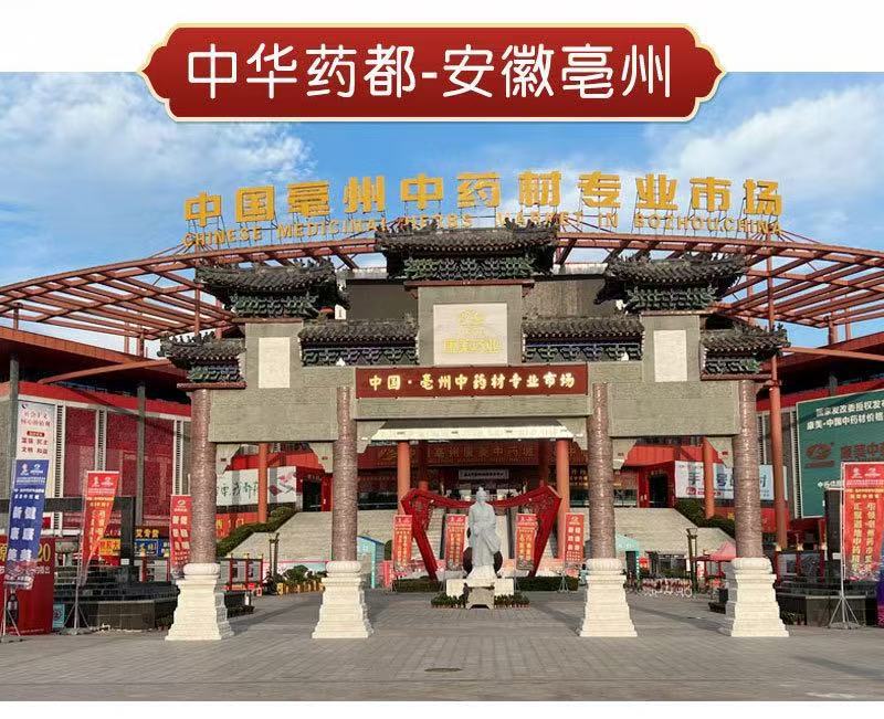 Dried Alisma Slices Ze Xie 泽泻 Sichuan Water Plantain Rhizome 500g Traditional Herbal Decoction Pieces overview