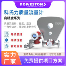 道威斯顿 实时数据 科氏力质量流量计 体积小巧轻便液体专用