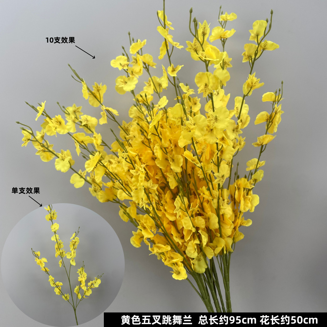 노란색 다섯 갈래의 춤추는 난초