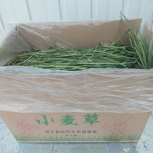 ���m�i����ʳ���С����������؈���m�i٪����ʳ1kg���l